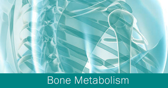 Bone Metabolism